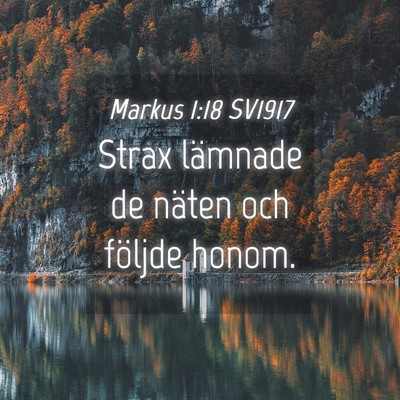 Picture 04 - Markus 1:18 SV1917 - Strax lämnade de näten och följde - Bible Verse Picture