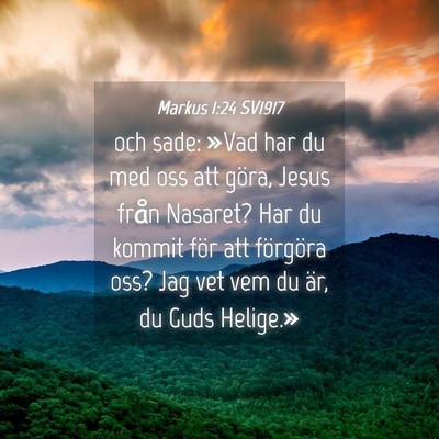 Picture 04 - Markus 1:24 SV1917 - och sade: »Vad har du med oss att göra, Jesus - Bible Verse Picture
