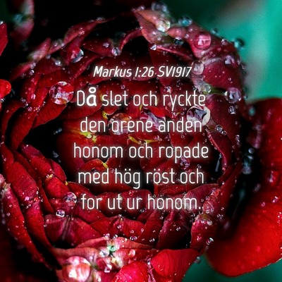 Picture 04 - Markus 1:26 SV1917 - Då slet och ryckte den orene anden honom och - Bible Verse Picture