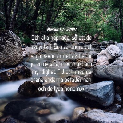 Picture 04 - Markus 1:27 SV1917 - Och alla häpnade, så att de begynte fråga - Bible Verse Picture