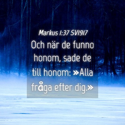 Picture 04 - Markus 1:37 SV1917 - Och när de funno honom, sade de till honom: - Bible Verse Picture