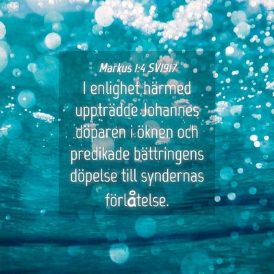 Picture 04 - Markus 1:4 SV1917 - I enlighet härmed uppträdde Johannes döparen i - Bible Verse Picture