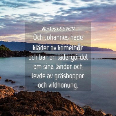 Picture 04 - Markus 1:6 SV1917 - Och Johannes hade kläder av kamelhår och bar en - Bible Verse Picture