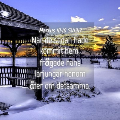 Picture 04 - Markus 10:10 SV1917 - När de sedan hade kommit hem, frågade hans - Bible Verse Picture