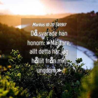 Picture 04 - Markus 10:20 SV1917 - Då svarade han honom: »Mästare, allt detta har - Bible Verse Picture