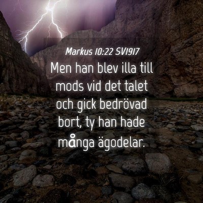 Picture 04 - Markus 10:22 SV1917 - Men han blev illa till mods vid det talet och - Bible Verse Picture