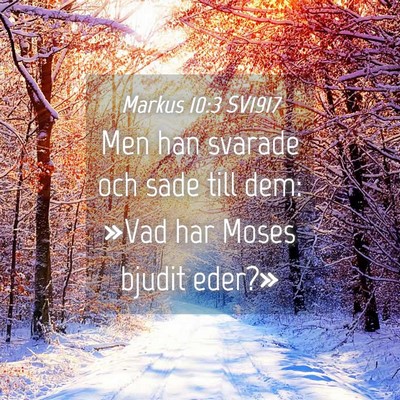 Picture 04 - Markus 10:3 SV1917 - Men han svarade och sade till dem: »Vad har - Bible Verse Picture