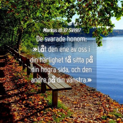 Picture 04 - Markus 10:37 SV1917 - De svarade honom: »Låt den ene av oss i din - Bible Verse Picture