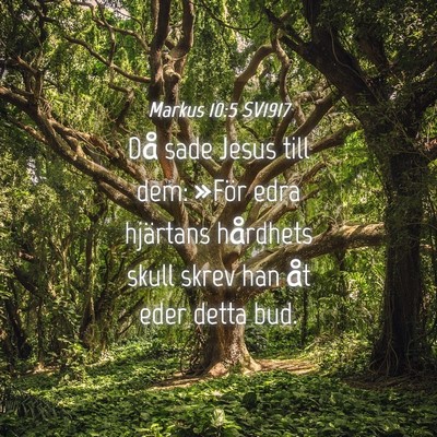 Picture 04 - Markus 10:5 SV1917 - Då sade Jesus till dem: »För edra hjärtans - Bible Verse Picture