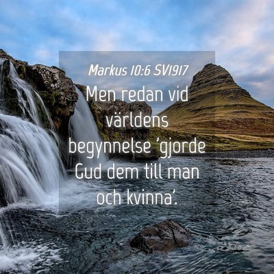 Picture 04 - Markus 10:6 SV1917 - Men redan vid världens begynnelse 'gjorde Gud - Bible Verse Picture