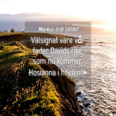 Picture 04 - Markus 11:10 SV1917 - Välsignat vare vår fader Davids rike, som nu - Bible Verse Picture