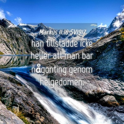 Picture 04 - Markus 11:16 SV1917 - han tillstadde icke heller att man bar någonting - Bible Verse Picture