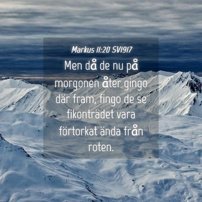 Picture 04 - Markus 11:20 SV1917 - Men då de nu på morgonen åter gingo där fram, - Bible Verse Picture