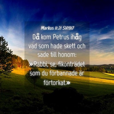 Picture 04 - Markus 11:21 SV1917 - Då kom Petrus ihåg vad som hade skett och sade - Bible Verse Picture