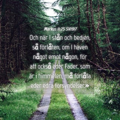 Picture 04 - Markus 11:25 SV1917 - Och när I stån och bedjen, så förlåten, om I - Bible Verse Picture