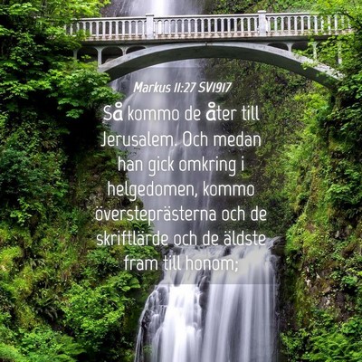 Picture 04 - Markus 11:27 SV1917 - Så kommo de åter till Jerusalem. Och medan han - Bible Verse Picture