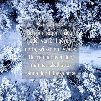 Picture 04 - Markus 11:3 SV1917 - Och om någon frågar eder varför I gören - Bible Verse Picture