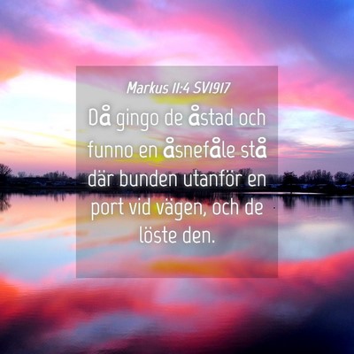 Picture 04 - Markus 11:4 SV1917 - Då gingo de åstad och funno en åsnefåle stå - Bible Verse Picture