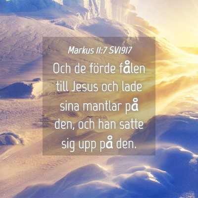 Picture 04 - Markus 11:7 SV1917 - Och de förde fålen till Jesus och lade sina - Bible Verse Picture
