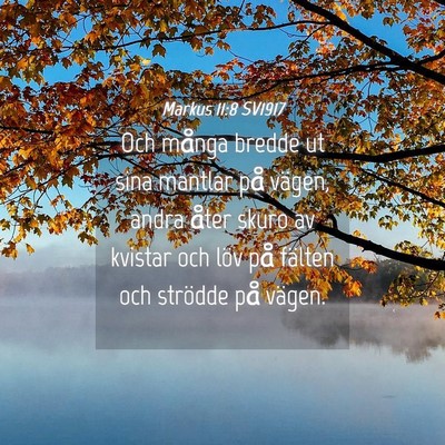 Picture 04 - Markus 11:8 SV1917 - Och många bredde ut sina mantlar på vägen, - Bible Verse Picture