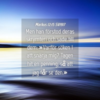 Picture 04 - Markus 12:15 SV1917 - Men han förstod deras skrymteri och sade till - Bible Verse Picture