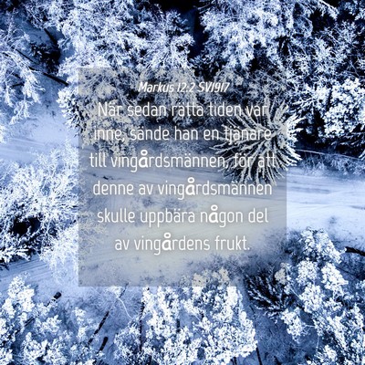 Picture 04 - Markus 12:2 SV1917 - När sedan rätta tiden var inne, sände han en - Bible Verse Picture