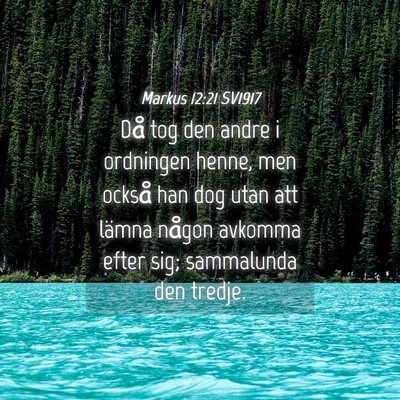 Picture 04 - Markus 12:21 SV1917 - Då tog den andre i ordningen henne, men också - Bible Verse Picture