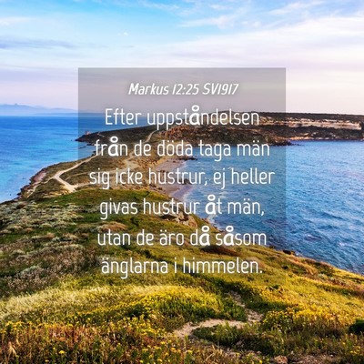 Picture 04 - Markus 12:25 SV1917 - Efter uppståndelsen från de döda taga män sig - Bible Verse Picture