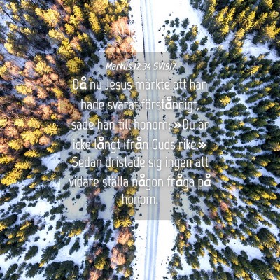 Picture 04 - Markus 12:34 SV1917 - Då nu Jesus märkte att han hade svarat - Bible Verse Picture