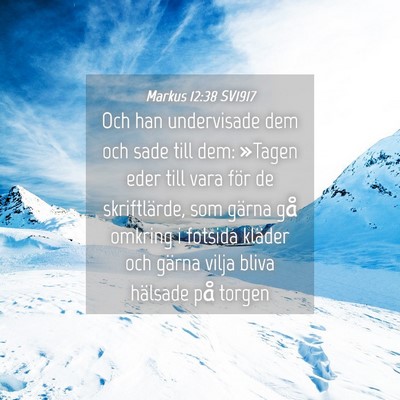Picture 04 - Markus 12:38 SV1917 - Och han undervisade dem och sade till dem: - Bible Verse Picture
