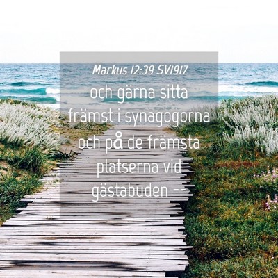 Picture 04 - Markus 12:39 SV1917 - och gärna sitta främst i synagogorna och på de - Bible Verse Picture