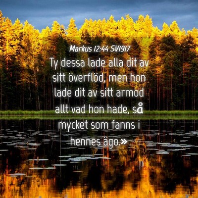 Picture 04 - Markus 12:44 SV1917 - Ty dessa lade alla dit av sitt överflöd, men - Bible Verse Picture