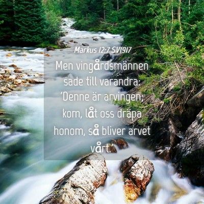 Picture 04 - Markus 12:7 SV1917 - Men vingårdsmännen sade till varandra: 'Denne - Bible Verse Picture