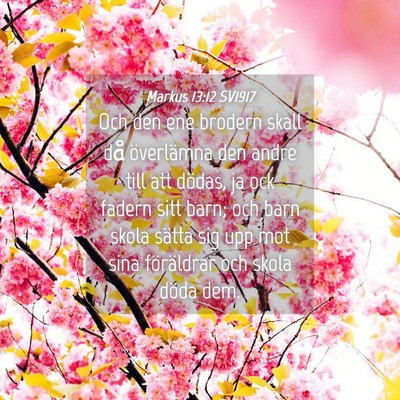 Picture 04 - Markus 13:12 SV1917 - Och den ene brodern skall då överlämna den - Bible Verse Picture
