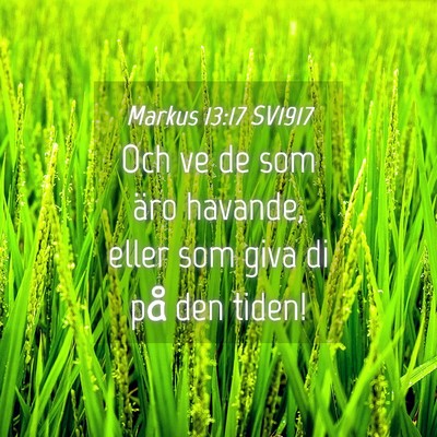 Picture 04 - Markus 13:17 SV1917 - Och ve de som äro havande, eller som giva di på - Bible Verse Picture
