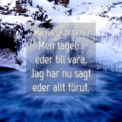 Picture 04 - Markus 13:23 SV1917 - Men tagen I eder till vara. Jag har nu sagt eder - Bible Verse Picture