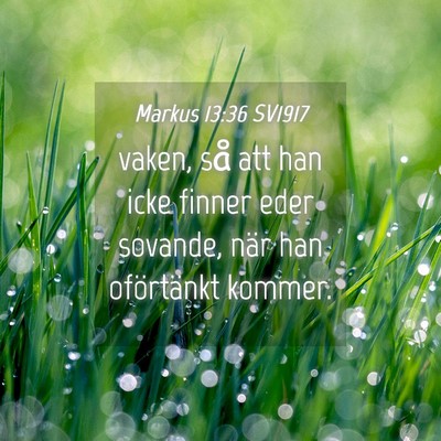 Picture 04 - Markus 13:36 SV1917 - vaken, så att han icke finner eder sovande, när - Bible Verse Picture