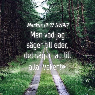 Picture 04 - Markus 13:37 SV1917 - Men vad jag säger till eder, det säger jag till - Bible Verse Picture
