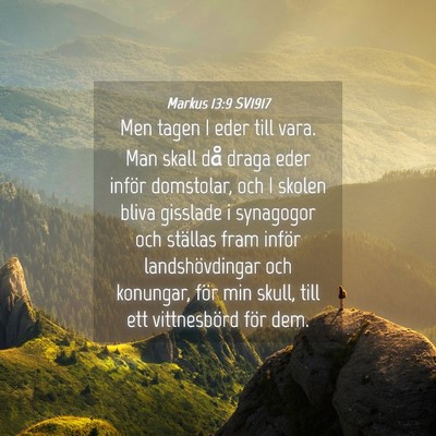 Picture 04 - Markus 13:9 SV1917 - Men tagen I eder till vara. Man skall då draga - Bible Verse Picture