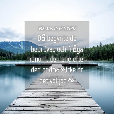 Picture 04 - Markus 14:19 SV1917 - Då begynte de bedrövas och fråga honom, den - Bible Verse Picture