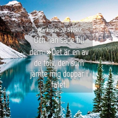 Picture 04 - Markus 14:20 SV1917 - Och han sade till dem: »Det är en av de tolv, - Bible Verse Picture