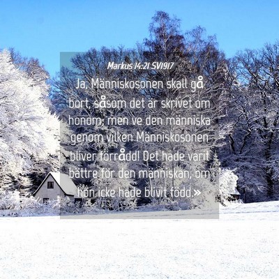 Picture 04 - Markus 14:21 SV1917 - Ja, Människosonen skall gå bort, såsom det är - Bible Verse Picture