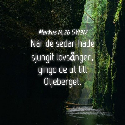 Picture 04 - Markus 14:26 SV1917 - När de sedan hade sjungit lovsången, gingo de - Bible Verse Picture