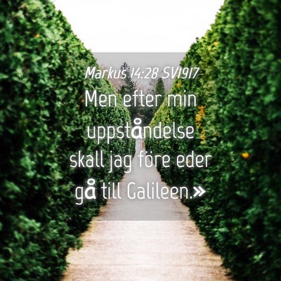 Picture 04 - Markus 14:28 SV1917 - Men efter min uppståndelse skall jag före eder - Bible Verse Picture