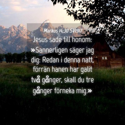 Picture 04 - Markus 14:30 SV1917 - Jesus sade till honom: »Sannerligen säger jag - Bible Verse Picture