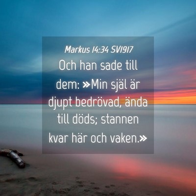Picture 04 - Markus 14:34 SV1917 - Och han sade till dem: »Min själ är djupt - Bible Verse Picture