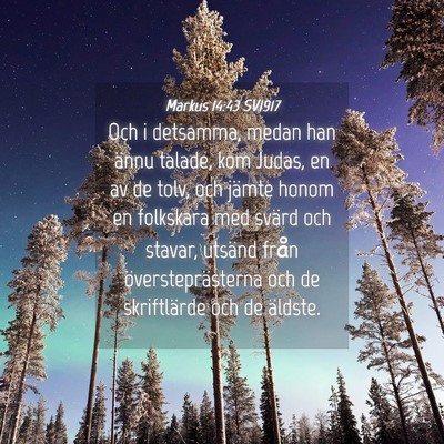 Picture 04 - Markus 14:43 SV1917 - Och i detsamma, medan han ännu talade, kom - Bible Verse Picture
