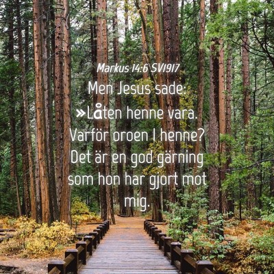Picture 04 - Markus 14:6 SV1917 - Men Jesus sade: »Låten henne vara. Varför - Bible Verse Picture