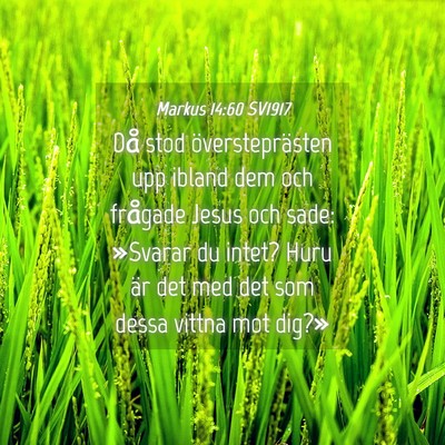 Picture 04 - Markus 14:60 SV1917 - Då stod översteprästen upp ibland dem och - Bible Verse Picture