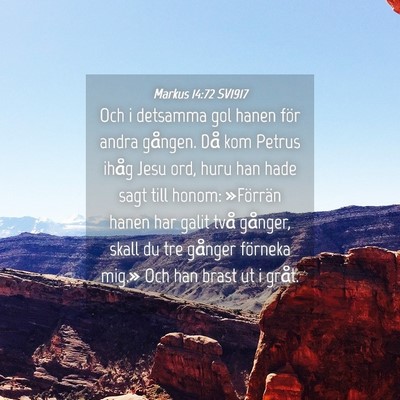 Picture 04 - Markus 14:72 SV1917 - Och i detsamma gol hanen för andra gången. Då - Bible Verse Picture